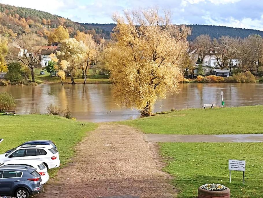 Ferienwohnung Marell Großwallstadt المظهر الخارجي الصورة