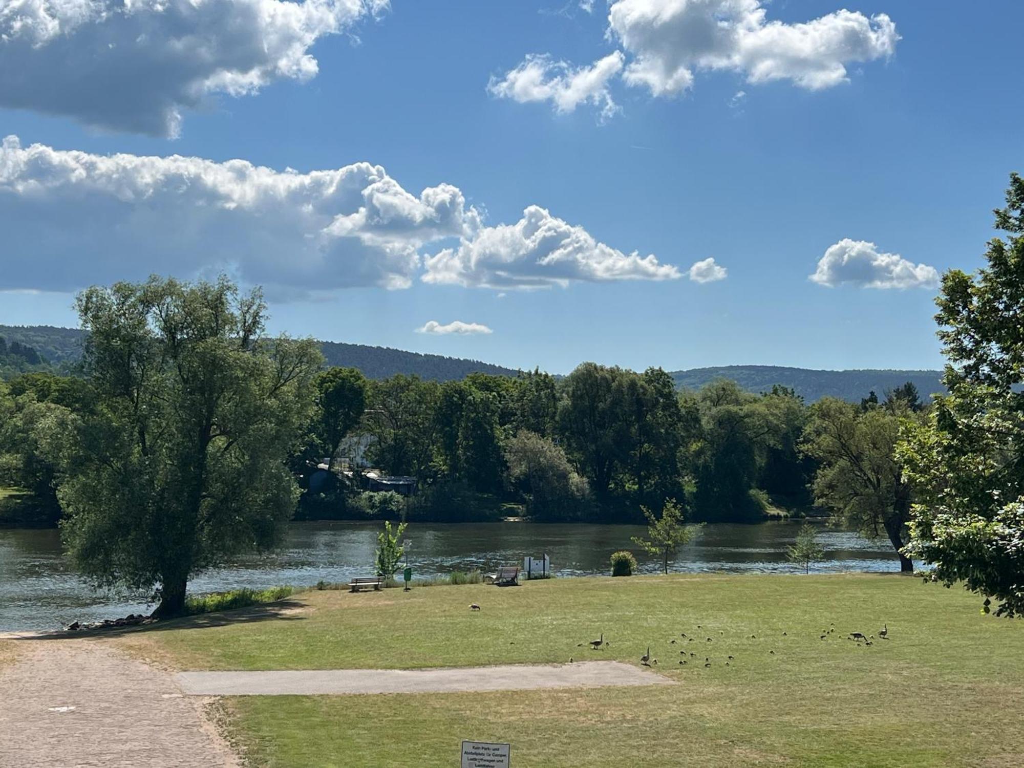 Ferienwohnung Marell Großwallstadt المظهر الخارجي الصورة